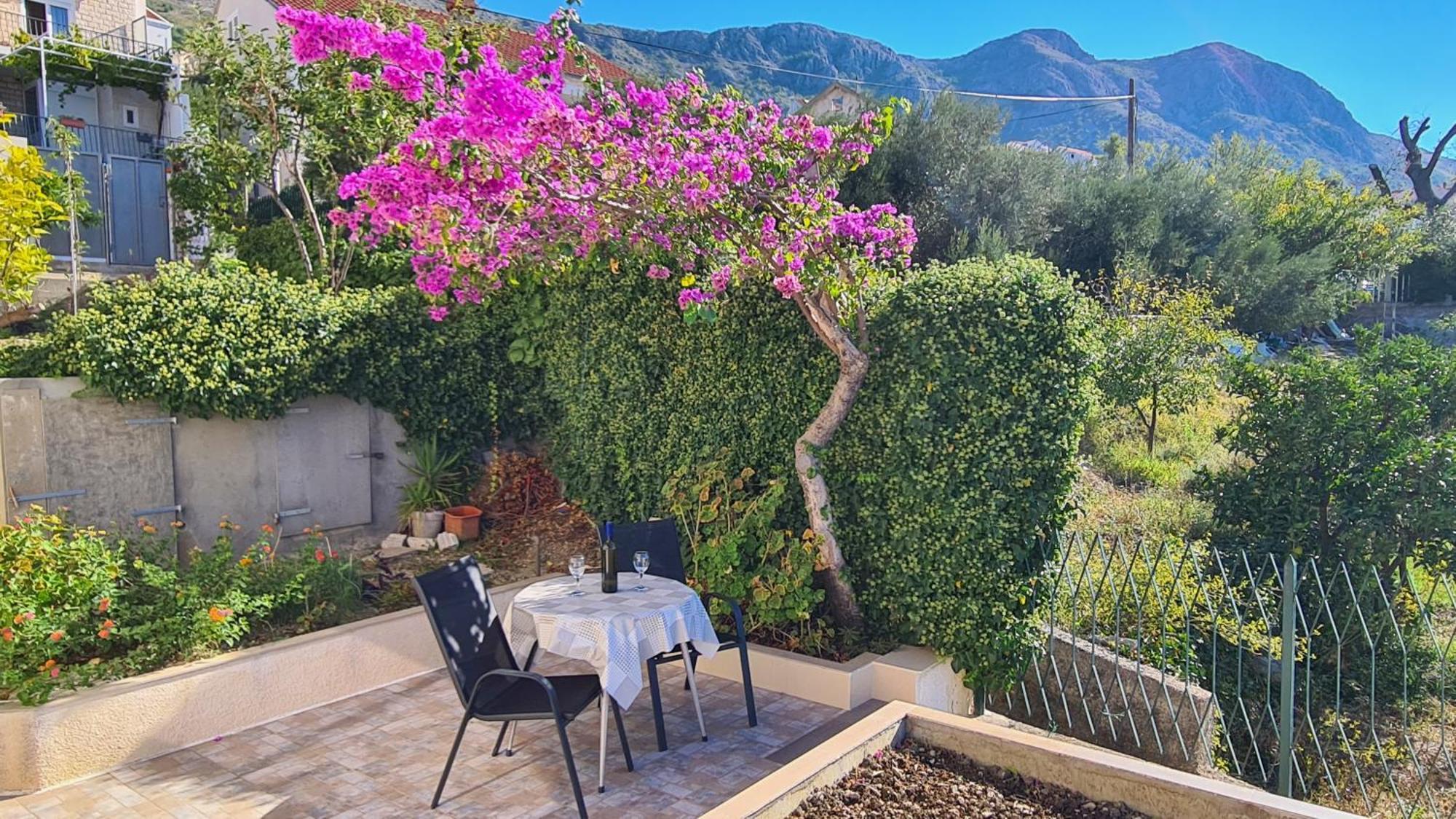 Apartments Kust Mlini Rom bilde